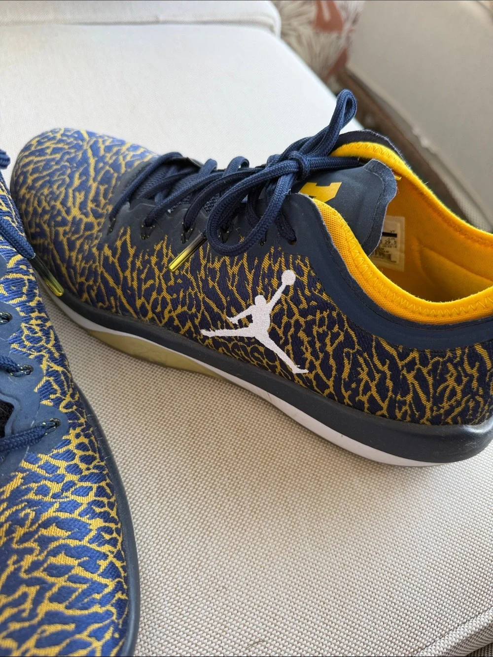 Jordan U of M Navy and Yellow Patterned Sneakers